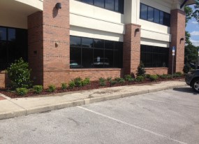 Landscaping Lakeland FL